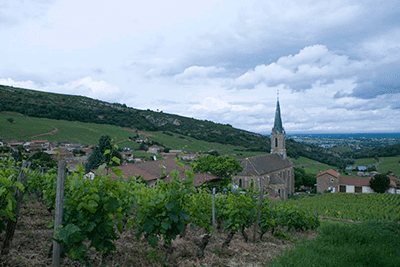 Foto della tenuta - Guffens Heynen