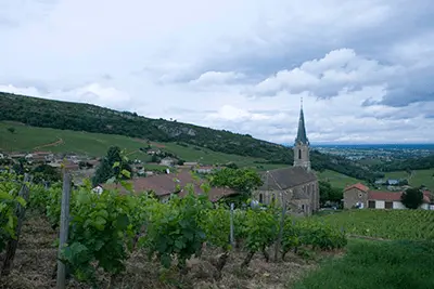 Guffens Heynen - 1