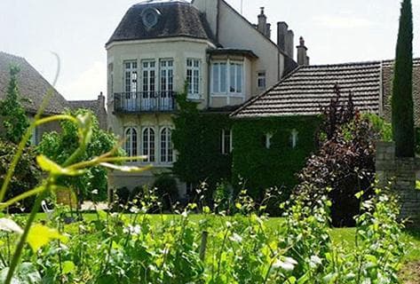 Photo du domaine partenaire Henri Darnat