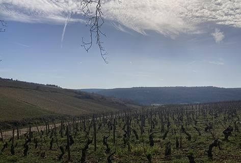 Henri et Gilles Buisson - 3