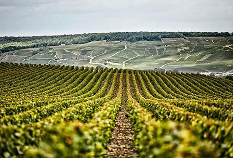 Henriot - 2
