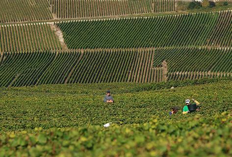 Henriot - 4