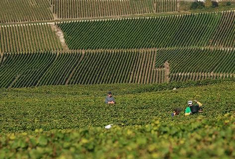Henriot - 4