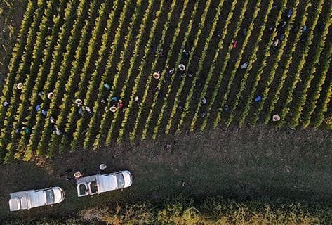 Foto della tenuta - Henry Pellé