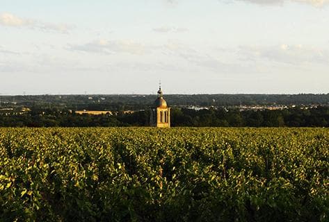 Foto della tenuta - Huet