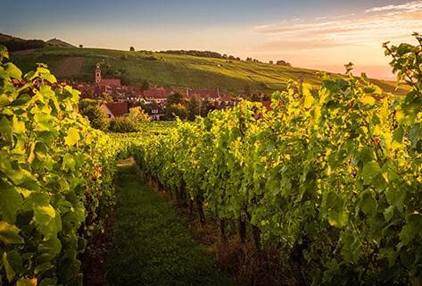 Hugel - 1