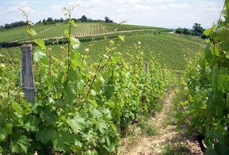 Jacques et Nathalie Saumaize - 3