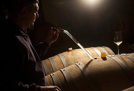 Jacques Lassaigne - 3