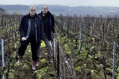 Foto des Partnerweinguts Jacquesson