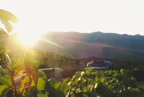 Photo of partner producer Jean-Baptiste Arena