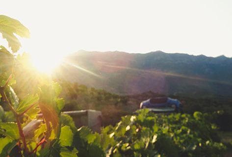 Photo du domaine partenaire Jean-Baptiste Arena