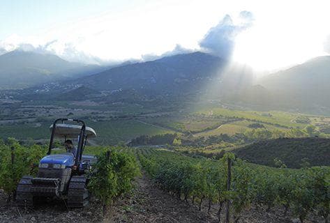 Jean-Baptiste Arena - 3