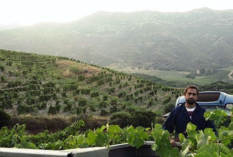 Jean-Baptiste Arena - 4