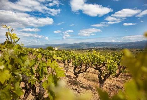 Jean-Baptiste Senat - 4