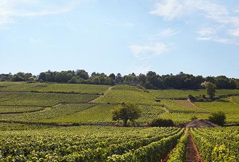 Jean-Claude Boisset - 3