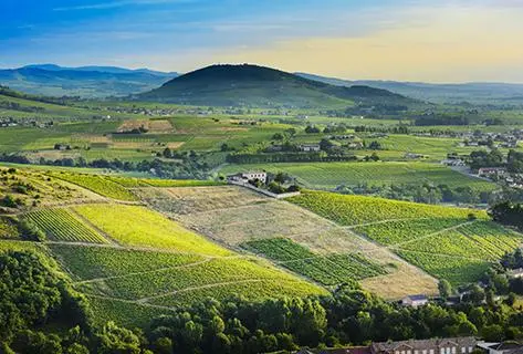 Foto della tenuta - Jean-Claude Lapalu