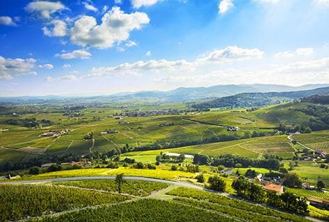 Jean-Claude Lapalu - 2