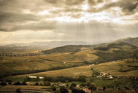 Jean-Claude Lapalu - 3