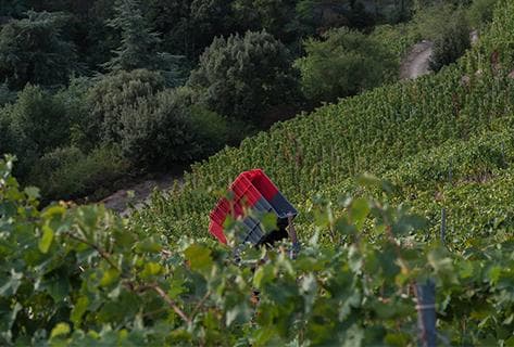 Jean-Luc Colombo - 2