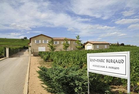 Foto des Partnerweinguts Jean-Marc Burgaud