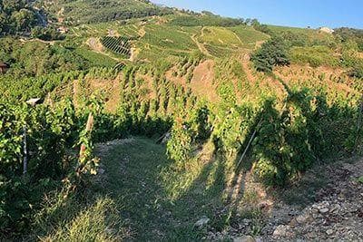 Jean-Michel Stephan - 2