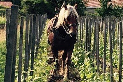 Jean-Michel Stephan - 4