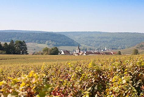 Jean-Philippe Fichet - 3