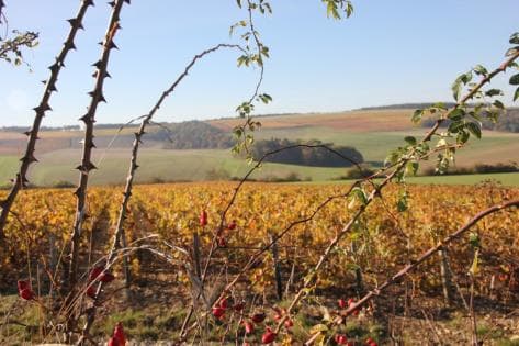 Jérome Coessens - 2