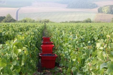 Jérome Coessens - 4