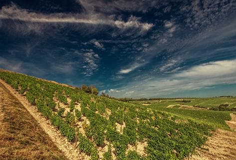 Photo du domaine partenaire Jonathan Didier Pabiot