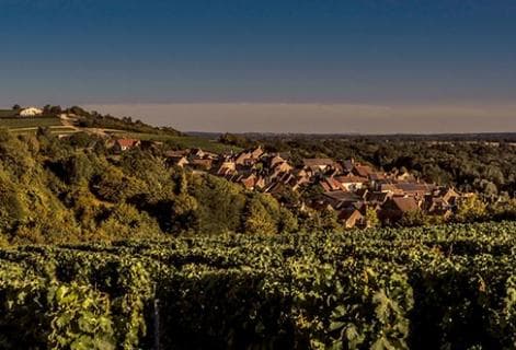 Jonathan Didier Pabiot - 4