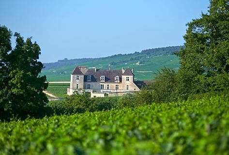 Photo du domaine partenaire Joseph Drouhin (domaine)