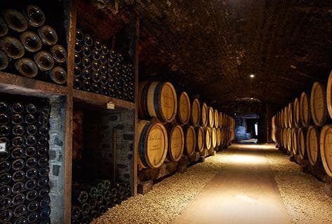 Joseph Drouhin (domaine) - 4