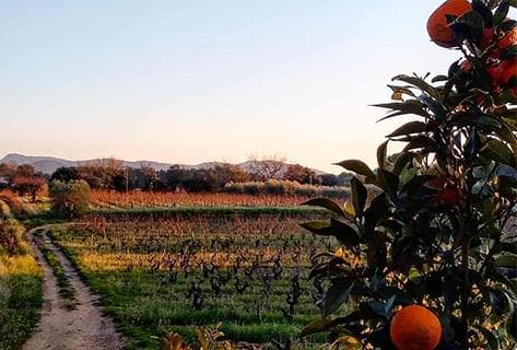 La Bastide Blanche - 2