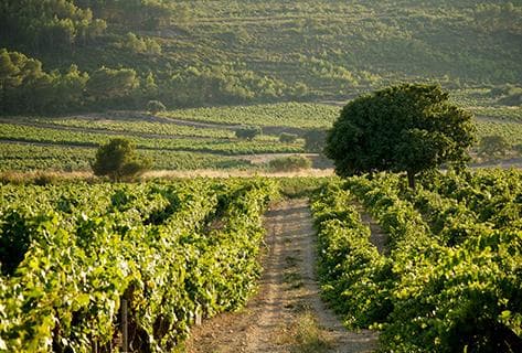 La Bastide Blanche - 3