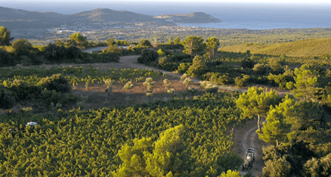 Photo principale du domaine