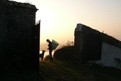 La Coulée de Serrant - 2