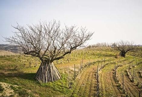 La Ferme des 7 Lunes - 4