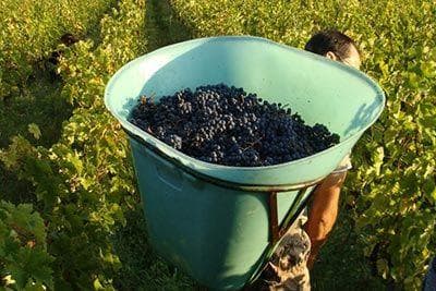 La Grange Tiphaine - 4