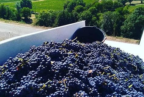 La grosse pierre - 3