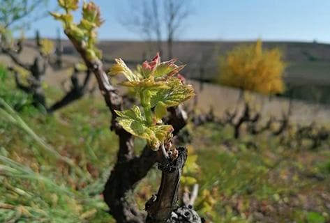 La grosse pierre - 4