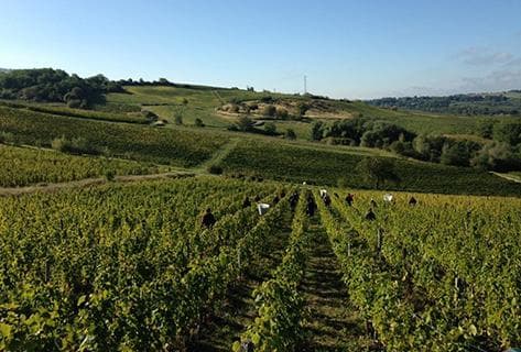 Photo du domaine partenaire La Pinte
