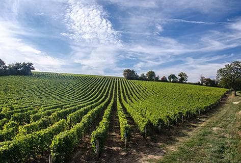 La Porte Saint Jean - 3