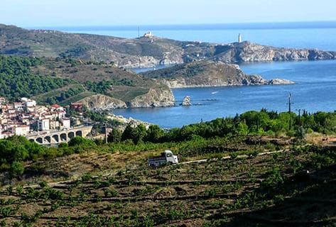 Foto della tenuta - La Rectorie