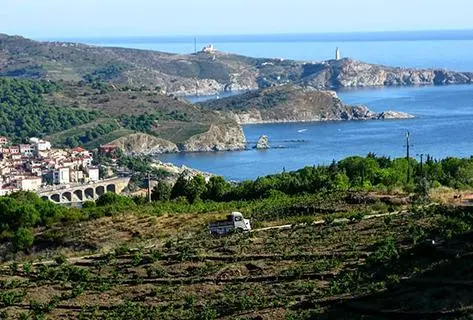 Photo du domaine partenaire La Rectorie
