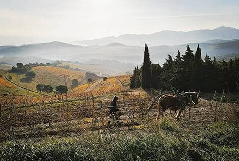 La Rectorie - 3