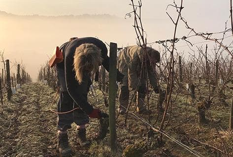 La Soeur Cadette - 1