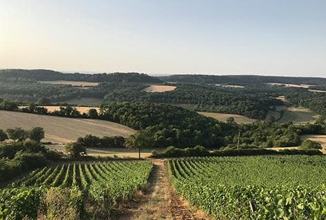 La Soeur Cadette - 3