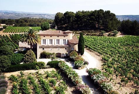 Foto della tenuta - La Tour du Bon