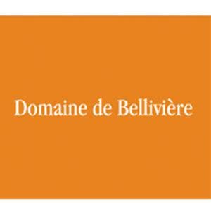 Photo du logo du domaine